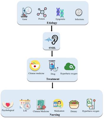 Research progress on the treatment and nursing of sensorineural hearing loss